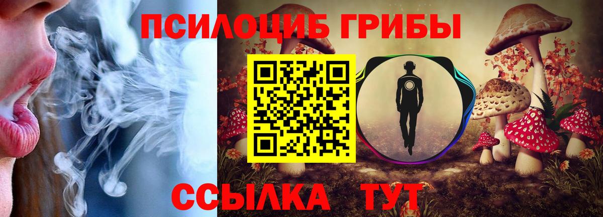 Биробиджан  Псилоцибиновые грибы MAGIC MUSHROOMS  Галлюциногенные грибы мухоморы  Вход с VPN 